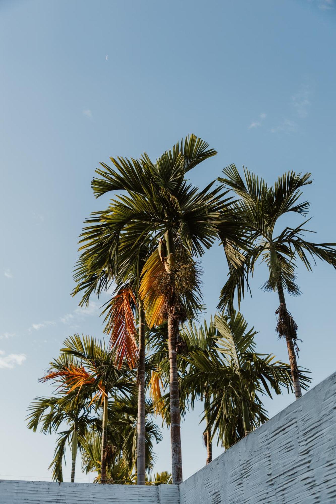 Arun Dara Villa Chiang Mai Eksteriør billede